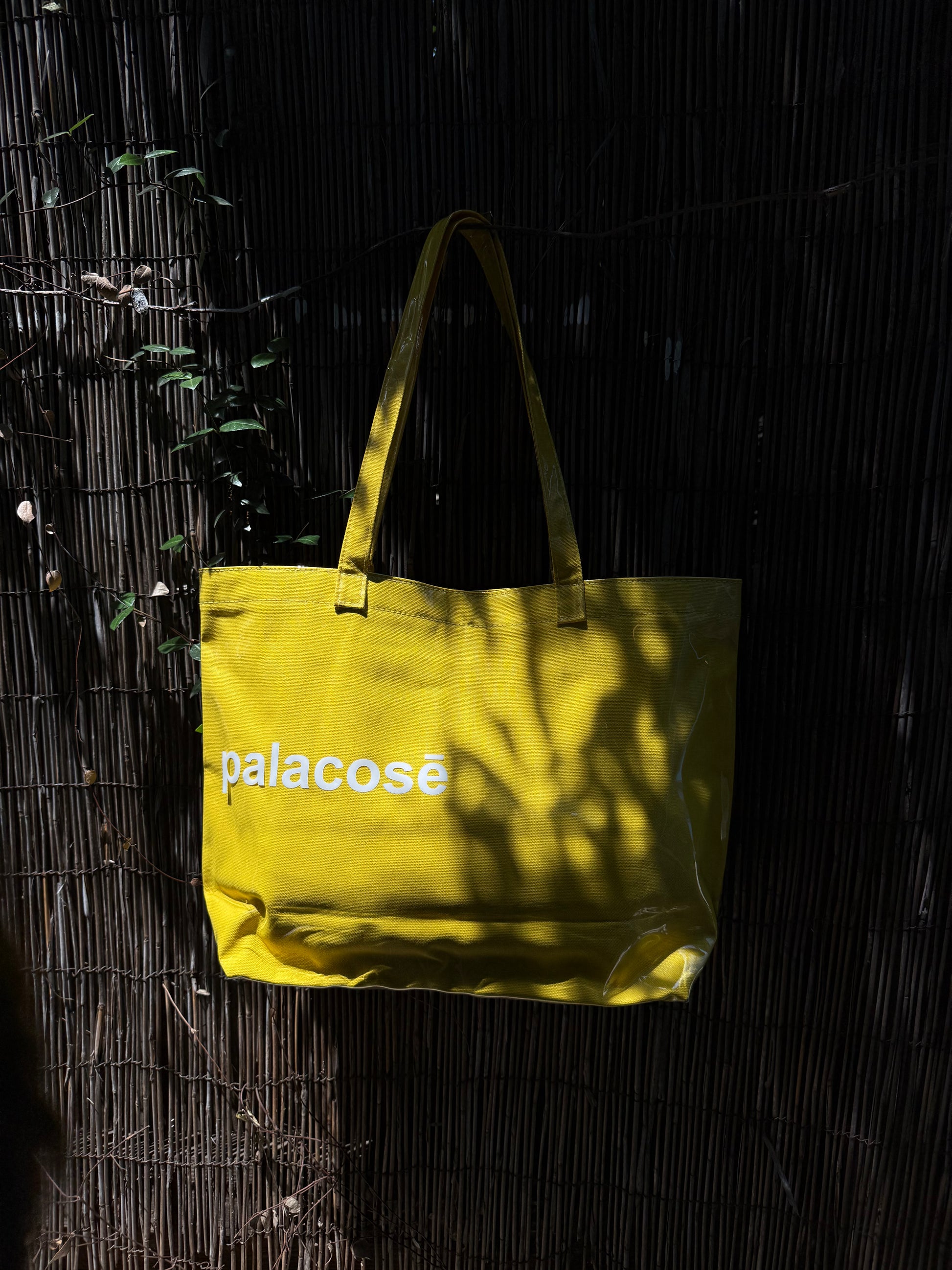 Palacose Tedlar Bag