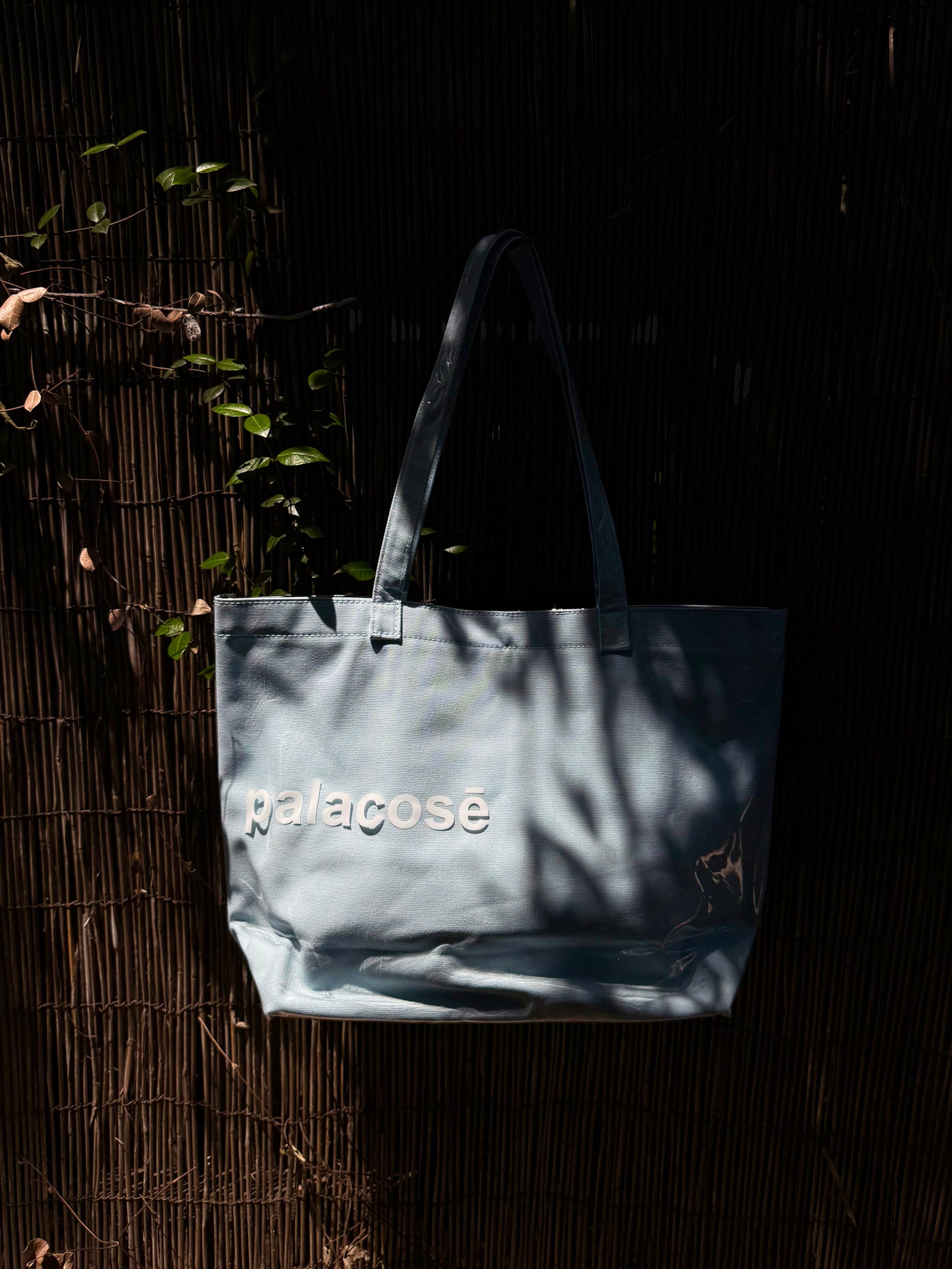 Palacose Tedlar Bag
