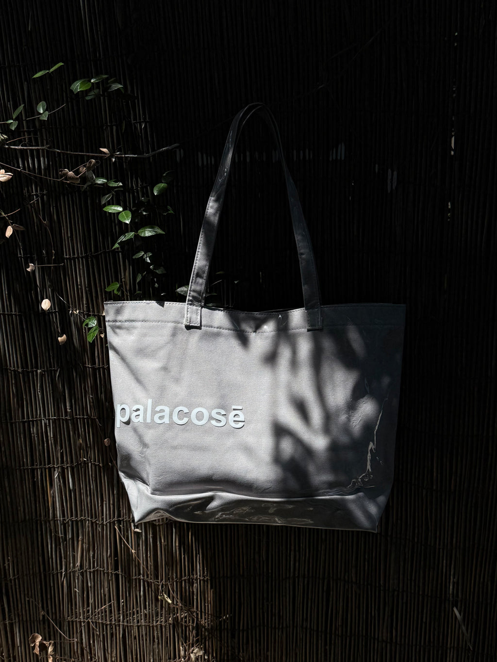 Palacose Tedlar Bag